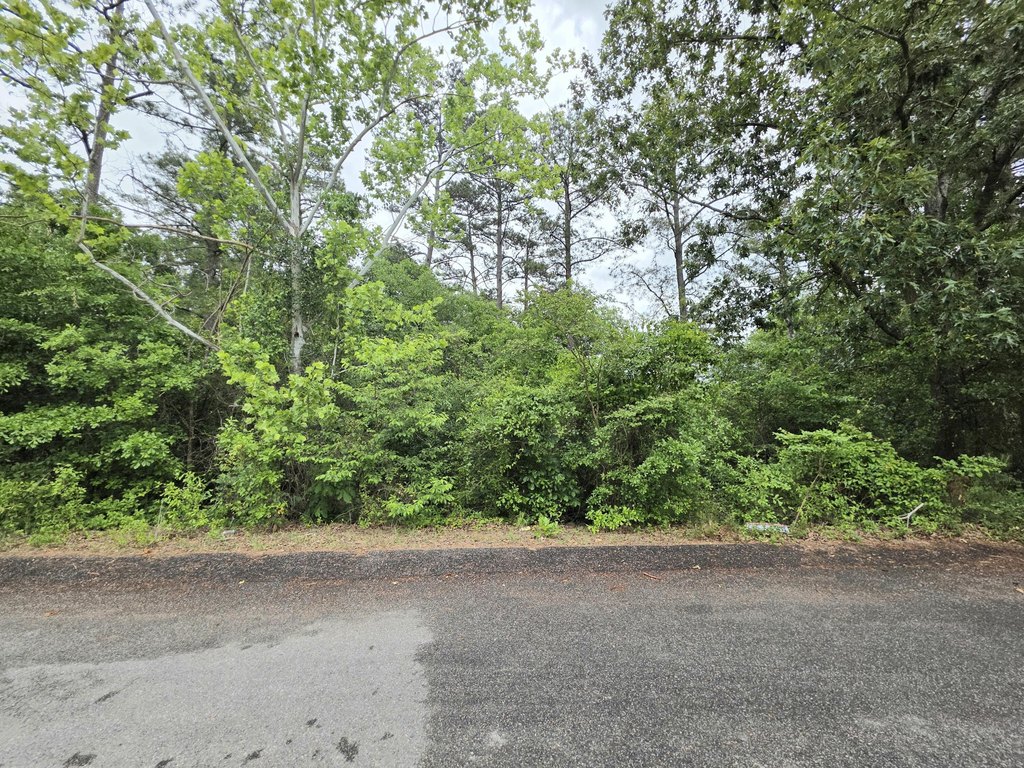 Picture 3