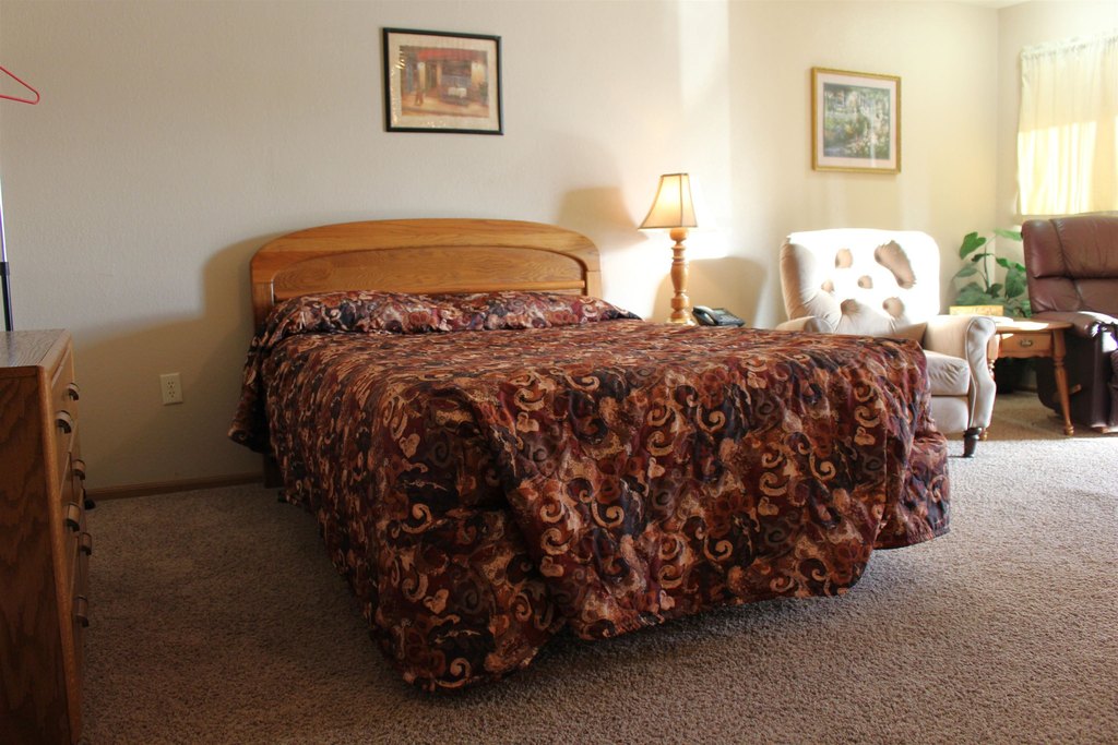 Picture 8