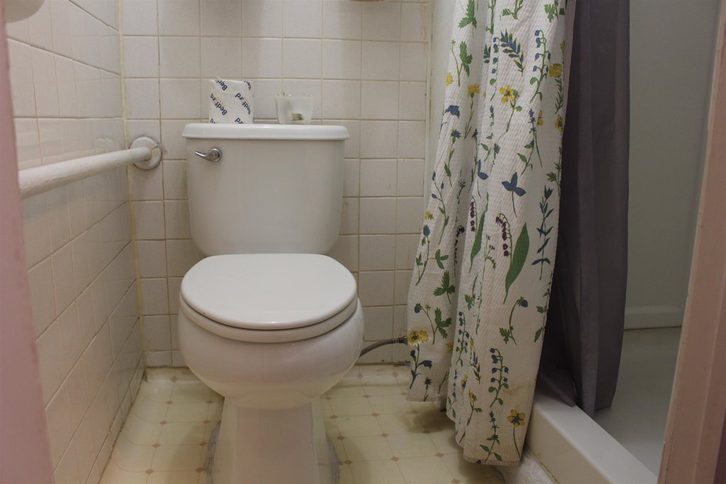 Picture 20