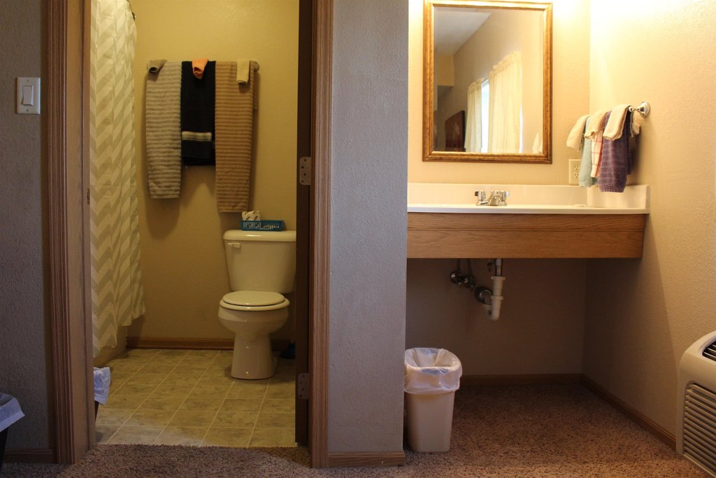 Picture 5