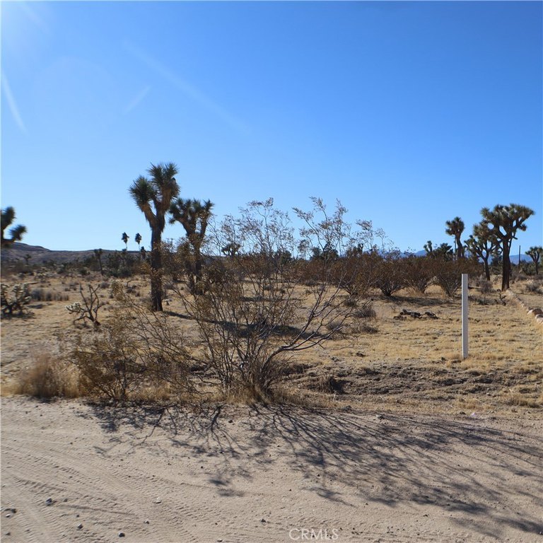 Picture 22