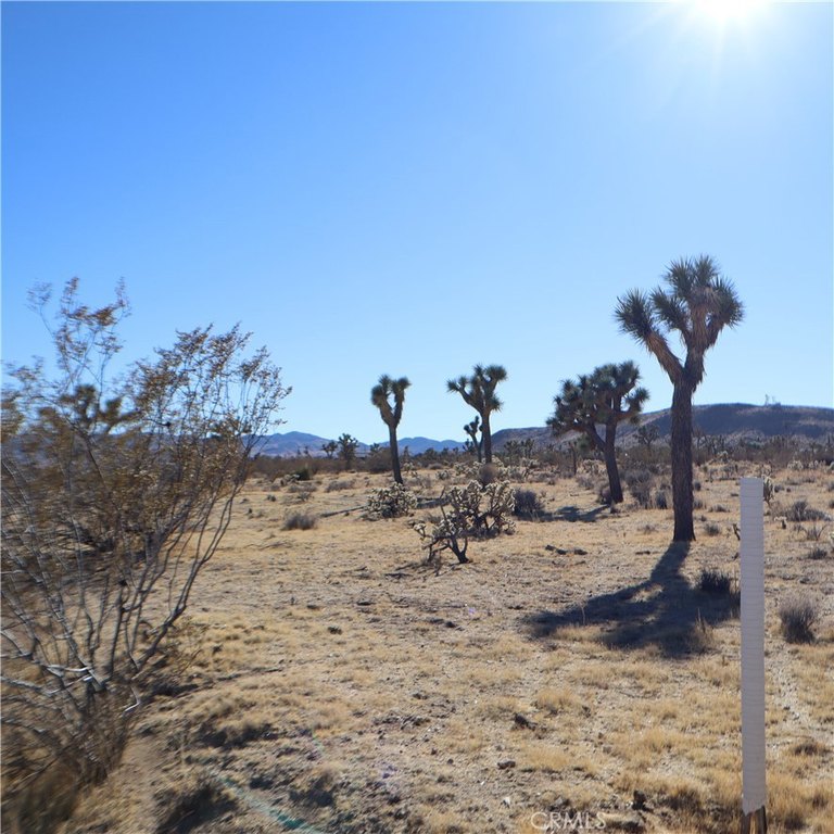 Picture 29