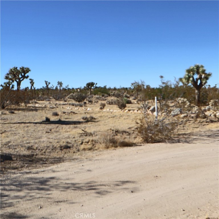Picture 16