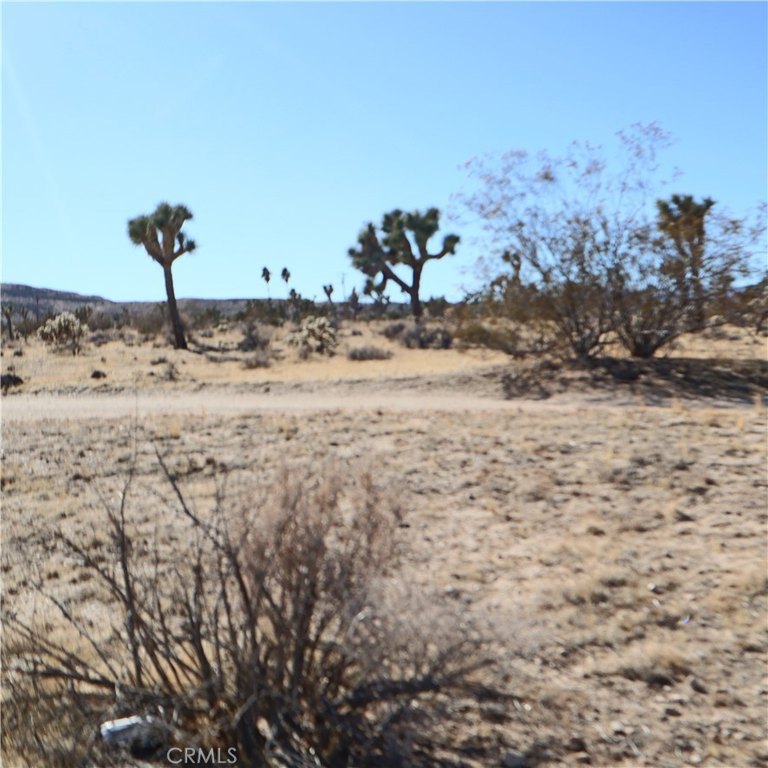 Picture 18