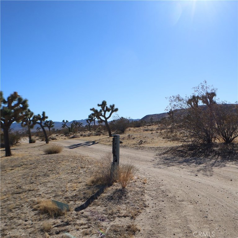 Picture 21