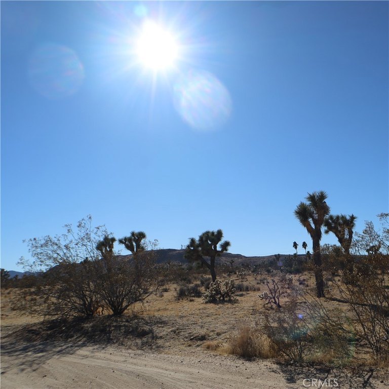 Picture 23