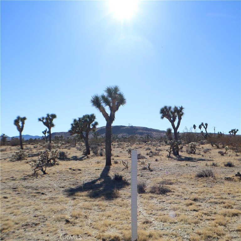 Picture 28