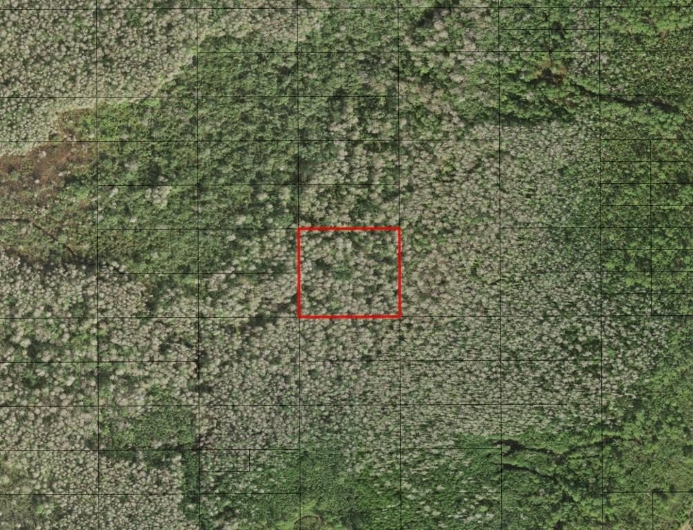 Private Hunting Land in Holopaw