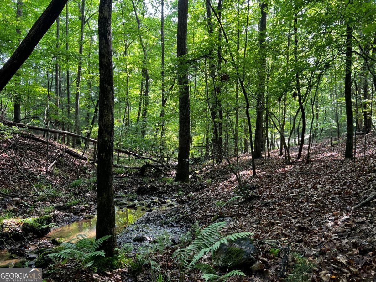 Blairsville Mountain Land For Sale