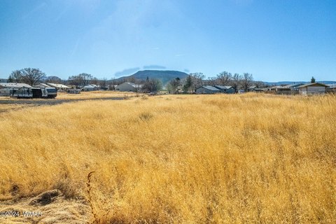 Residential Land in Springerville, AZ
