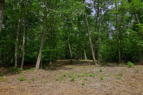 Residential Land in Gated Community