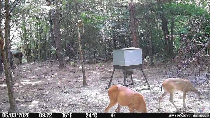 Picture 42