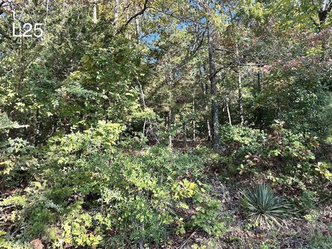 Vacant Land, Cherokee Village, AR