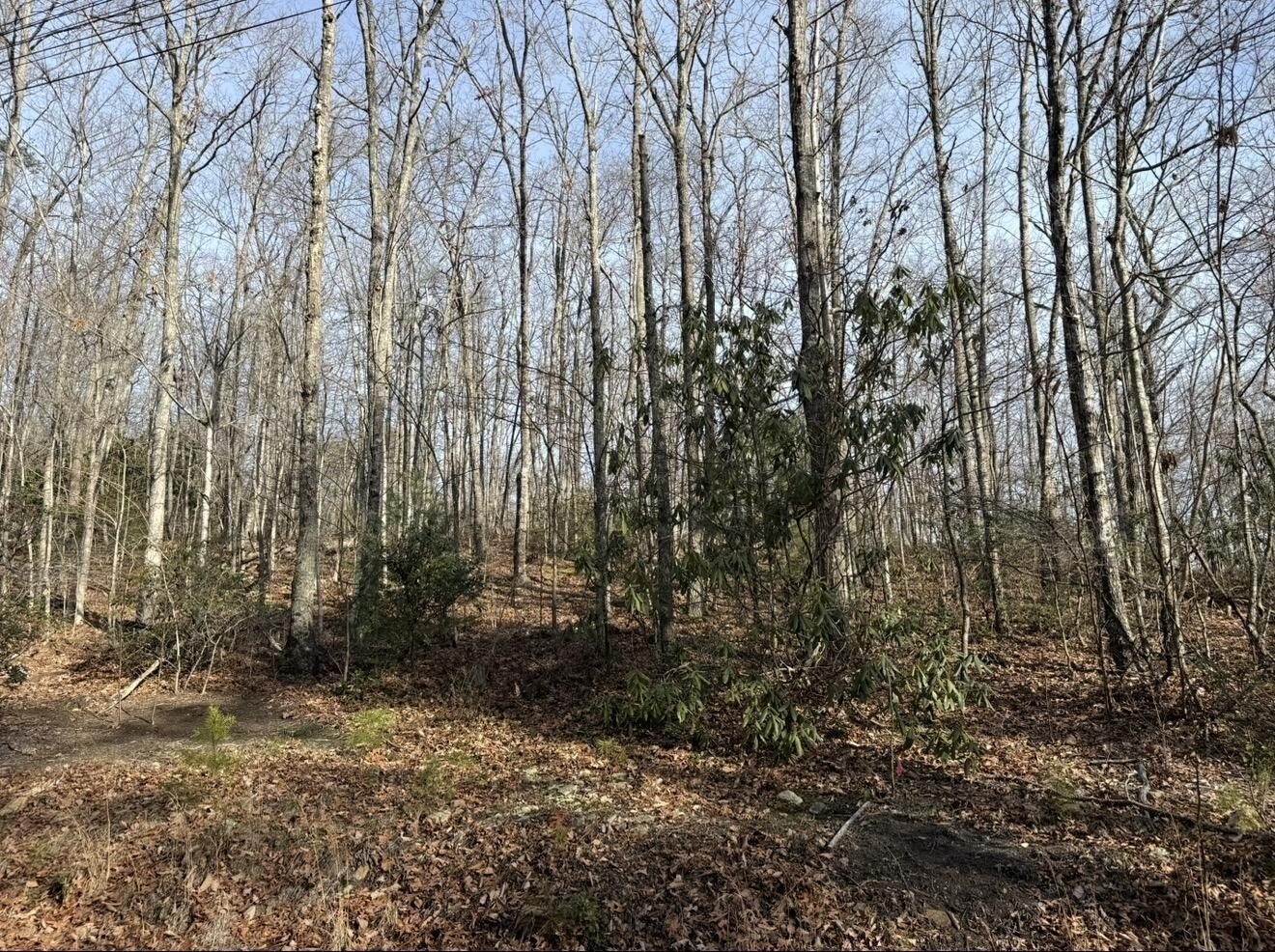 Sevierville Land for Development