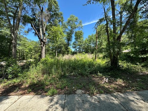 Residential Corner Lot in Dothan