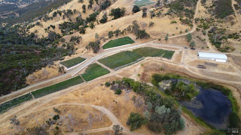 Licensed Cannabis Farm with Acreage
