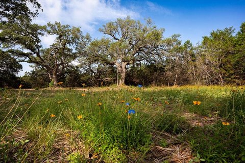 Unrestricted Land Tract with Flag Lot