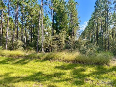 Molino Acreage Homesite For Sale