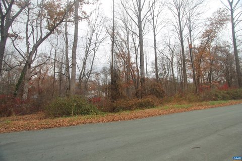 Wooded Lot Near Charlottesville