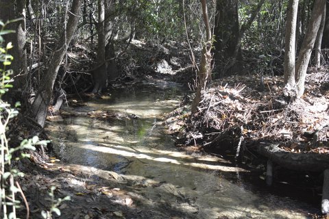 Land, Crestview, FL