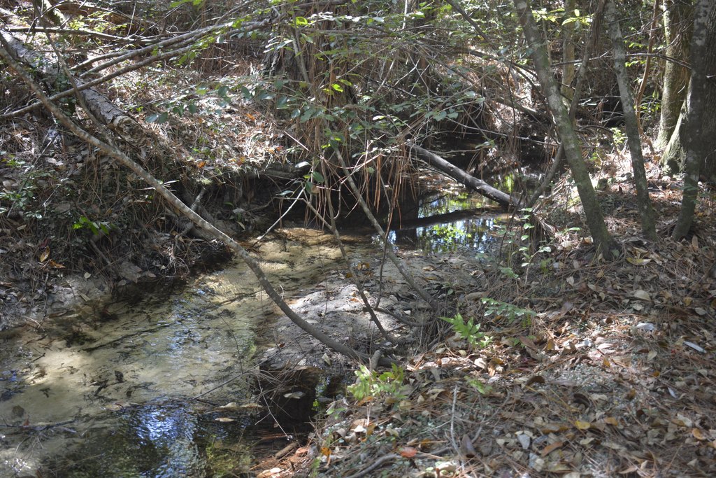 Picture 16