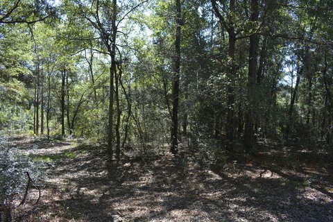 Land, Crestview, FL