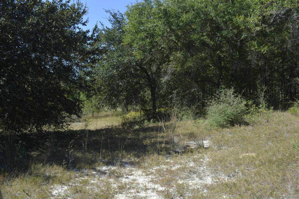 Picture 15