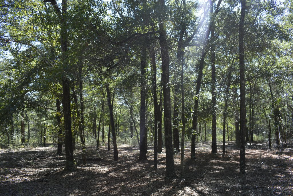 Picture 9