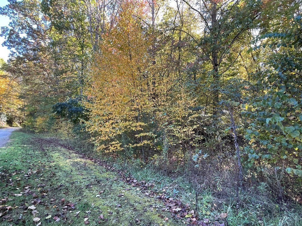 Picture 3