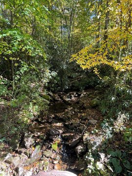LAND - Robbinsville, NC