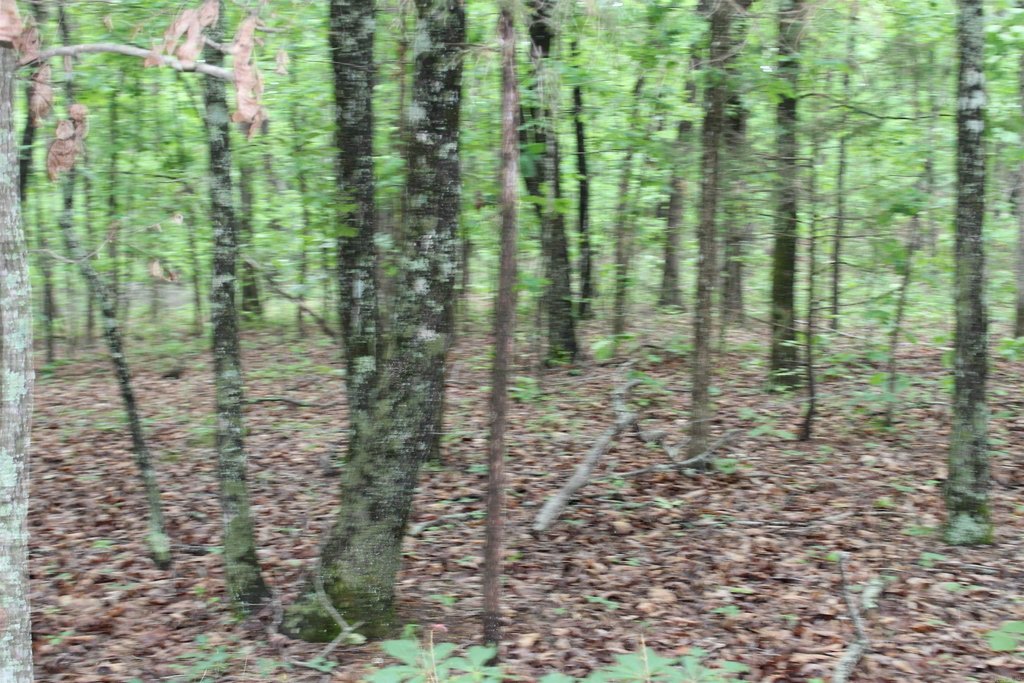 Picture 40