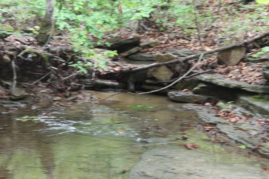 Picture 4