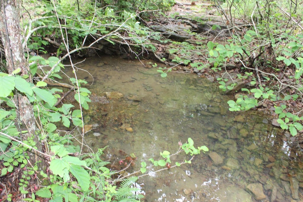 Picture 11