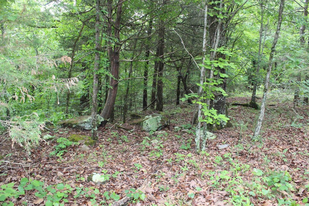 Picture 34