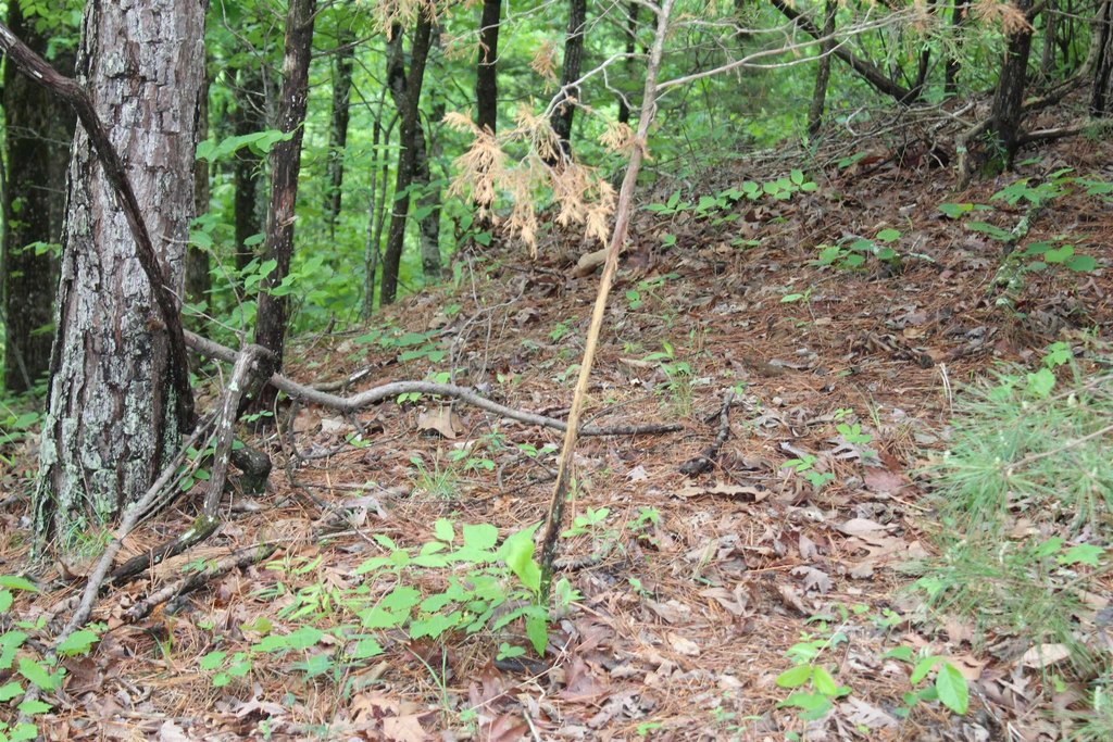 Picture 10