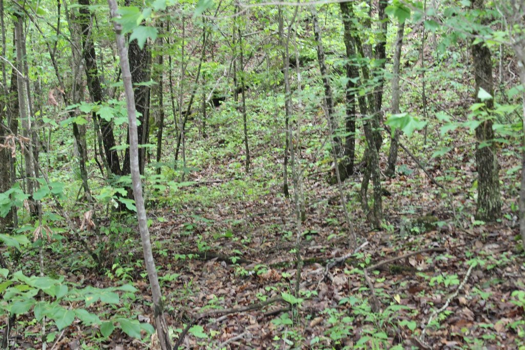 Picture 16