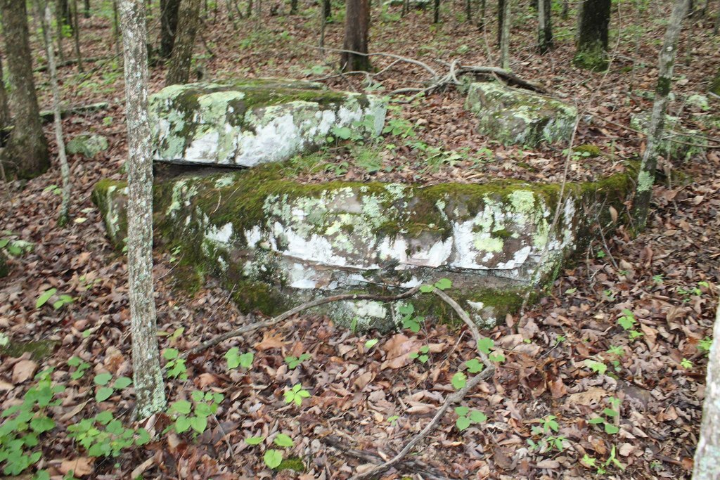 Picture 14