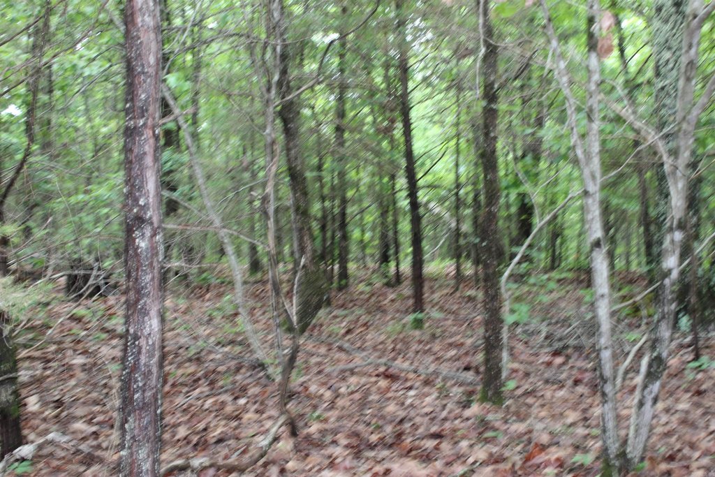 Picture 37
