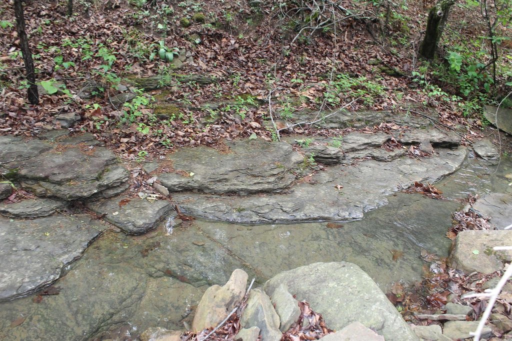 Picture 5