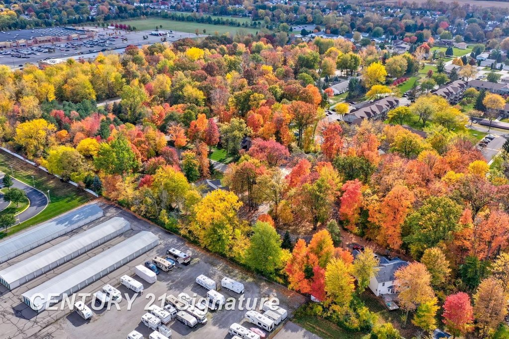 Picture 23