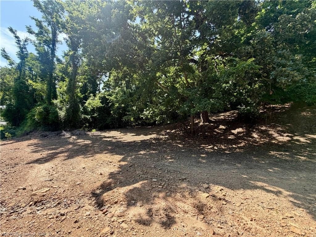 Picture 5
