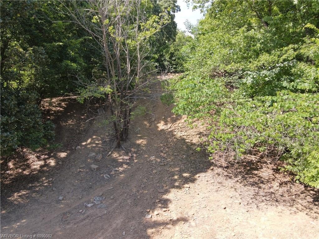 Picture 2