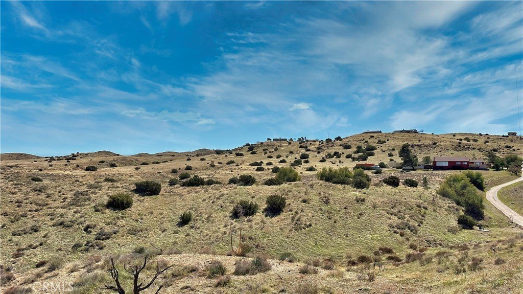 Picture 6