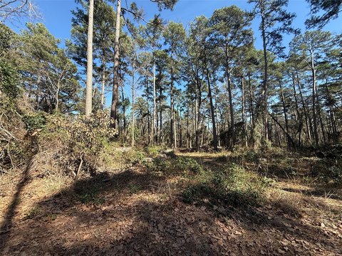 Wooded Land in Gated Community