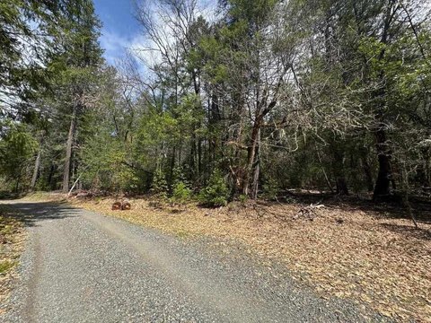 Undeveloped Land in Seiad Valley