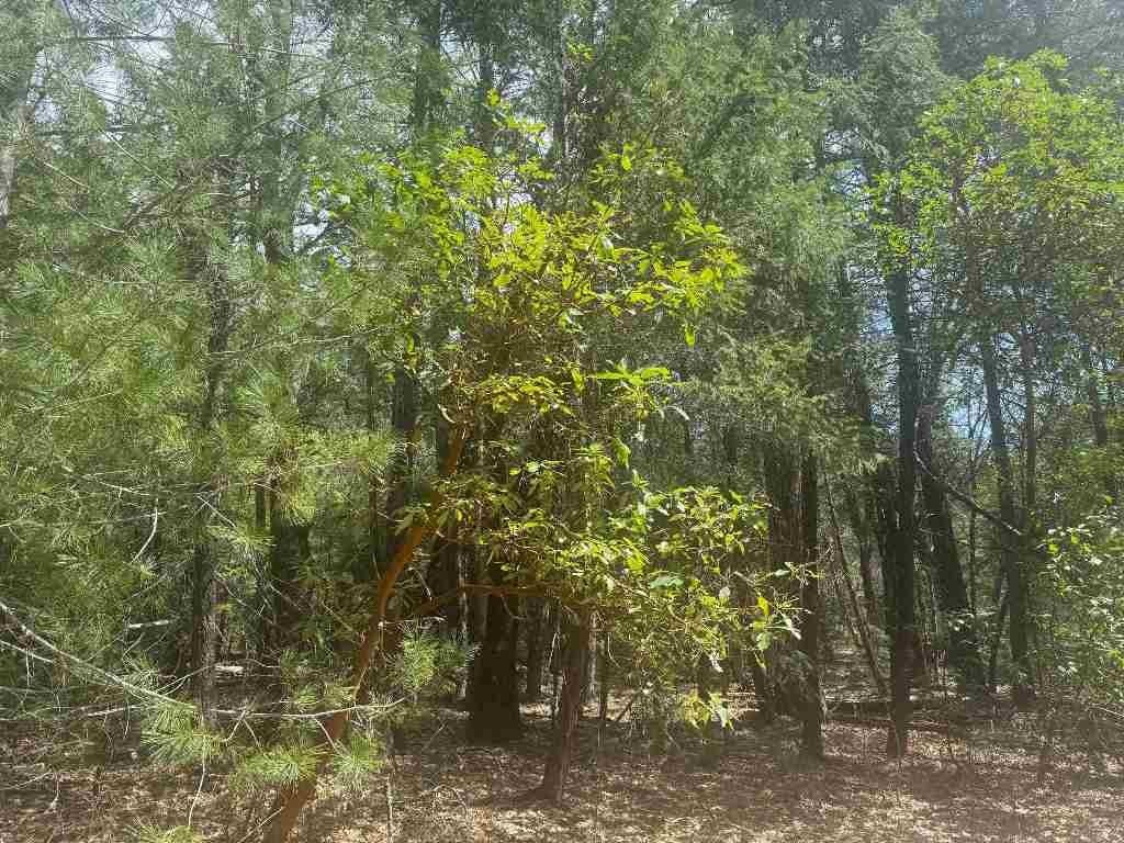 Picture 10