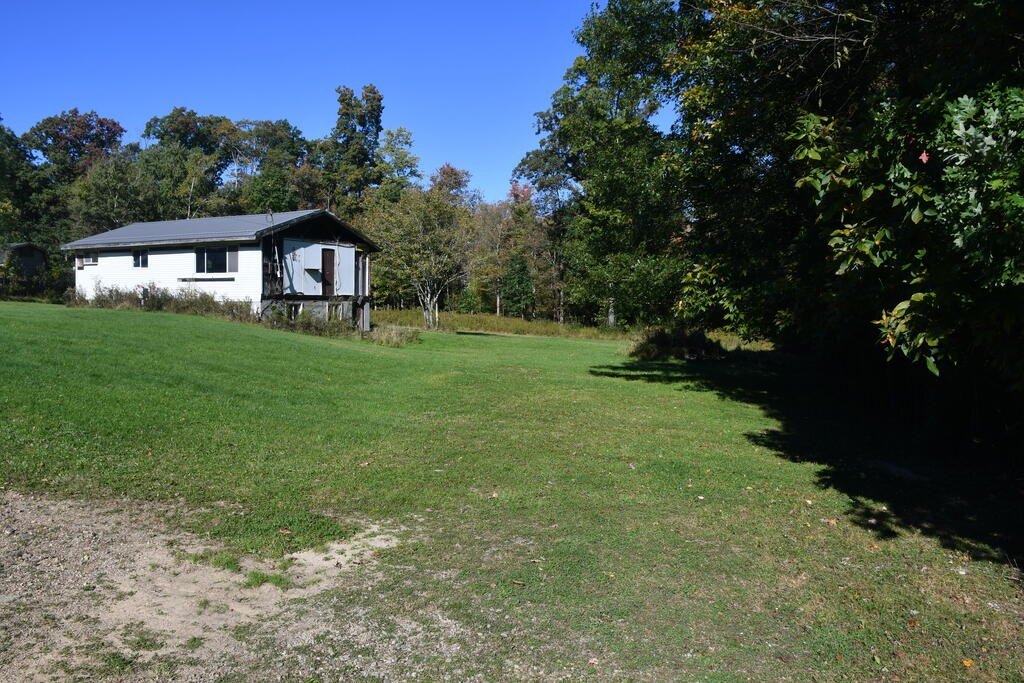 Picture 8