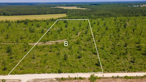 Monetta, SC Acreage Opportunity