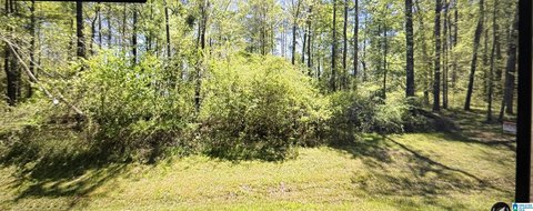 Waterfront Land with Gentle Lake Slope