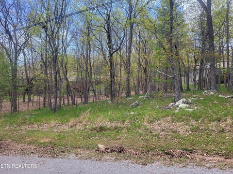 Crossville, TN Wooded Lot